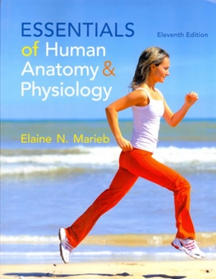 Essentials Of Human Anatomy & Physiology 11th Edition â€‹